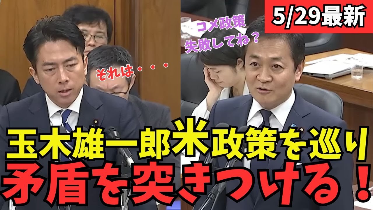 【最新 国民民主】農林水産委員会で玉木代表と小泉大臣が激しいバトル！ 