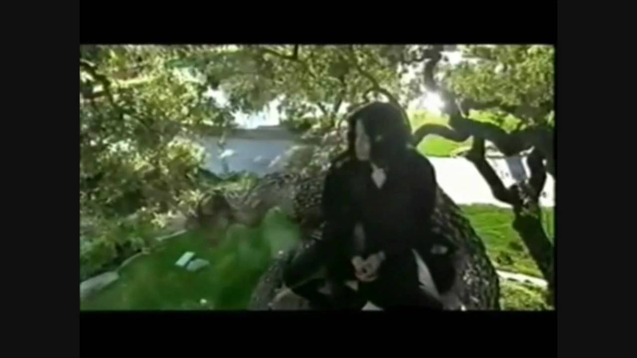Michael Jackson Don't Walk Away...