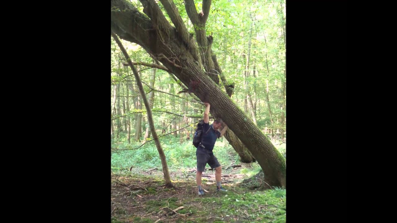 Oekumenischer pilgerweg