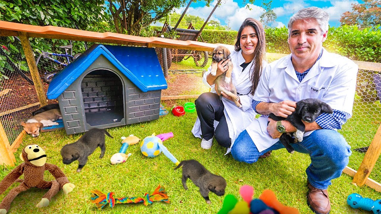 TIVE QUE CHAMAR O VETERINARIO PROS FILHOTINHOS DA SKY 😢