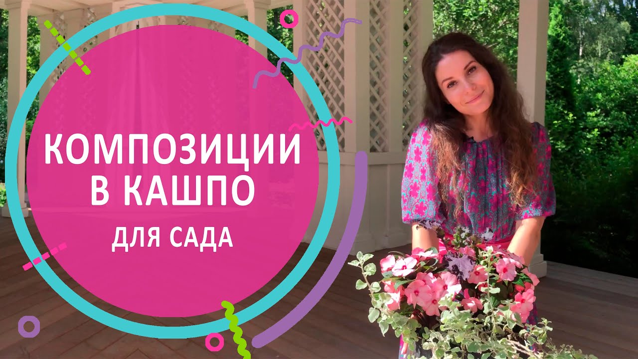 Композиции в кашпо для сада