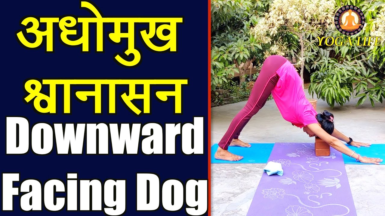 Adho Mukha Svanasana (Downward Facing Dog) Steps, Benefits And Precautions || Yoga With Ujala
