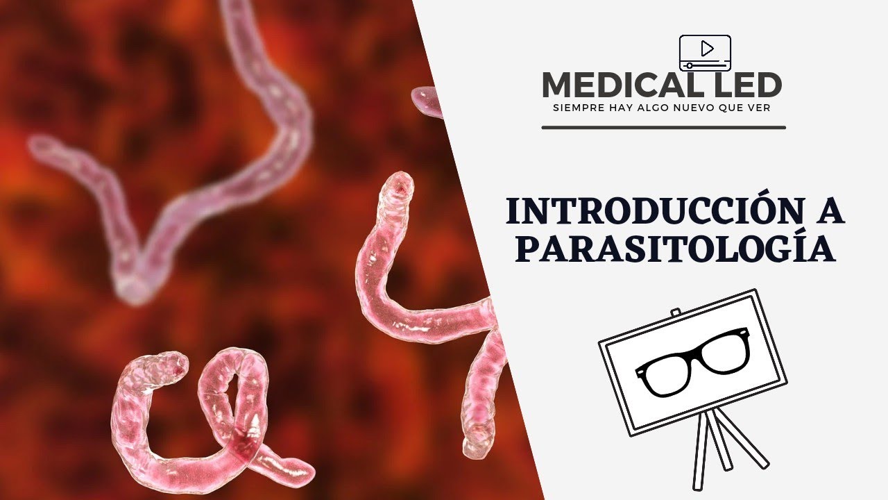 INTRODUCCI&Oacute;N A PARASITOLOG&Iacute;A: Generalidades y clasificaci&oacute;n