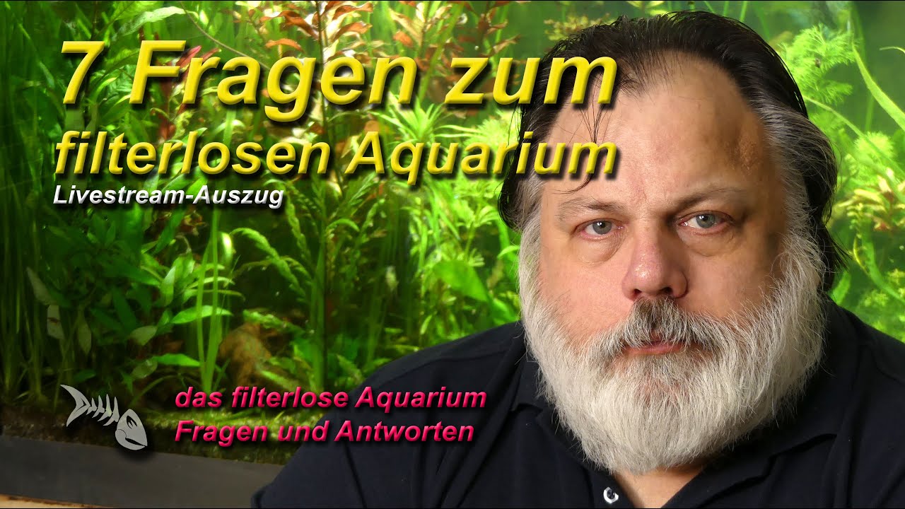 7 Fragen zum filterlosen Aquarium