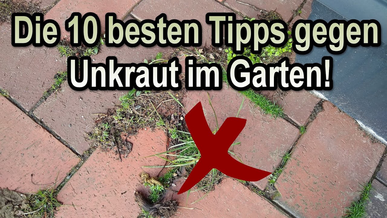 Die 10 besten Tipps gegen Unkraut im Garten 🌱✖️