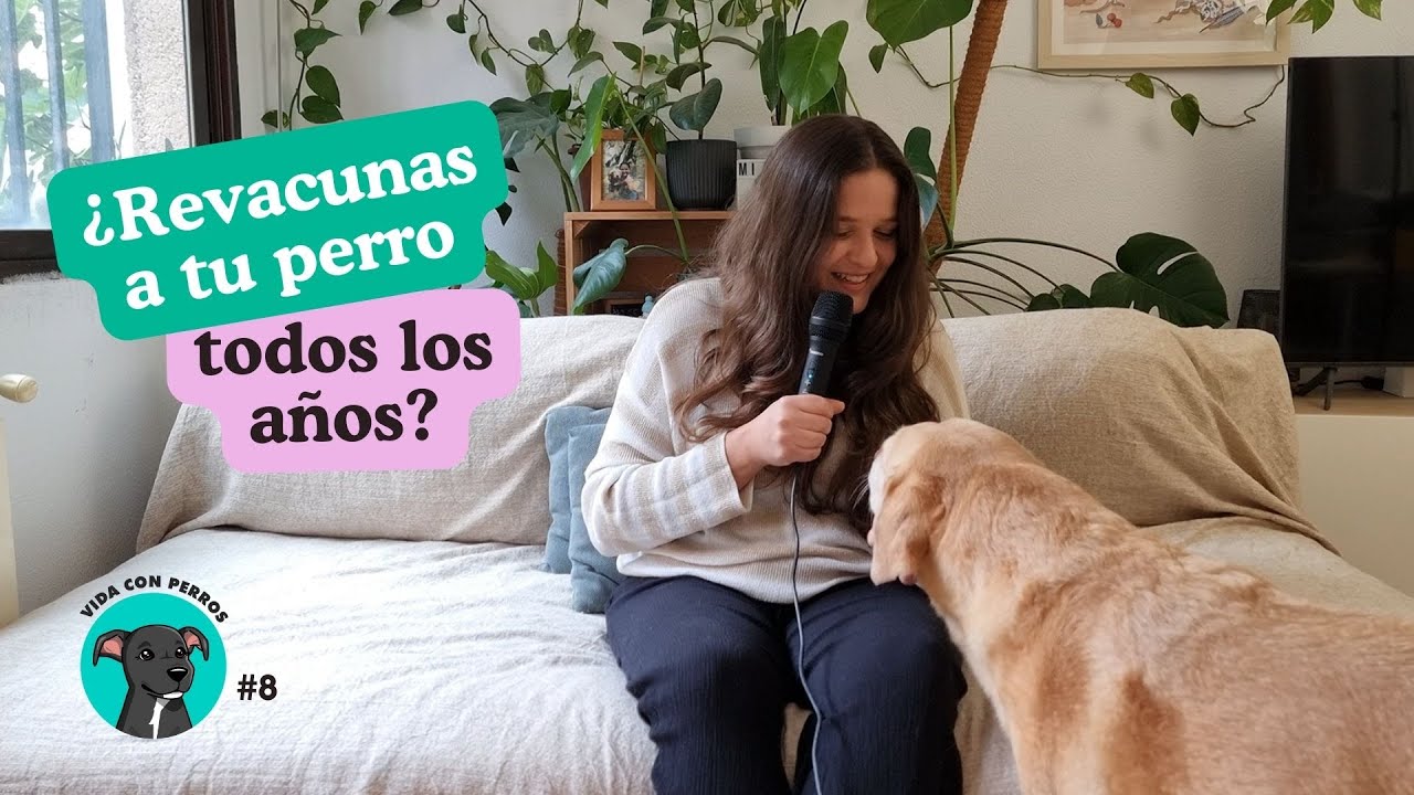 Hablamos sobre vacunación responsable en perros | Vida con perros #8