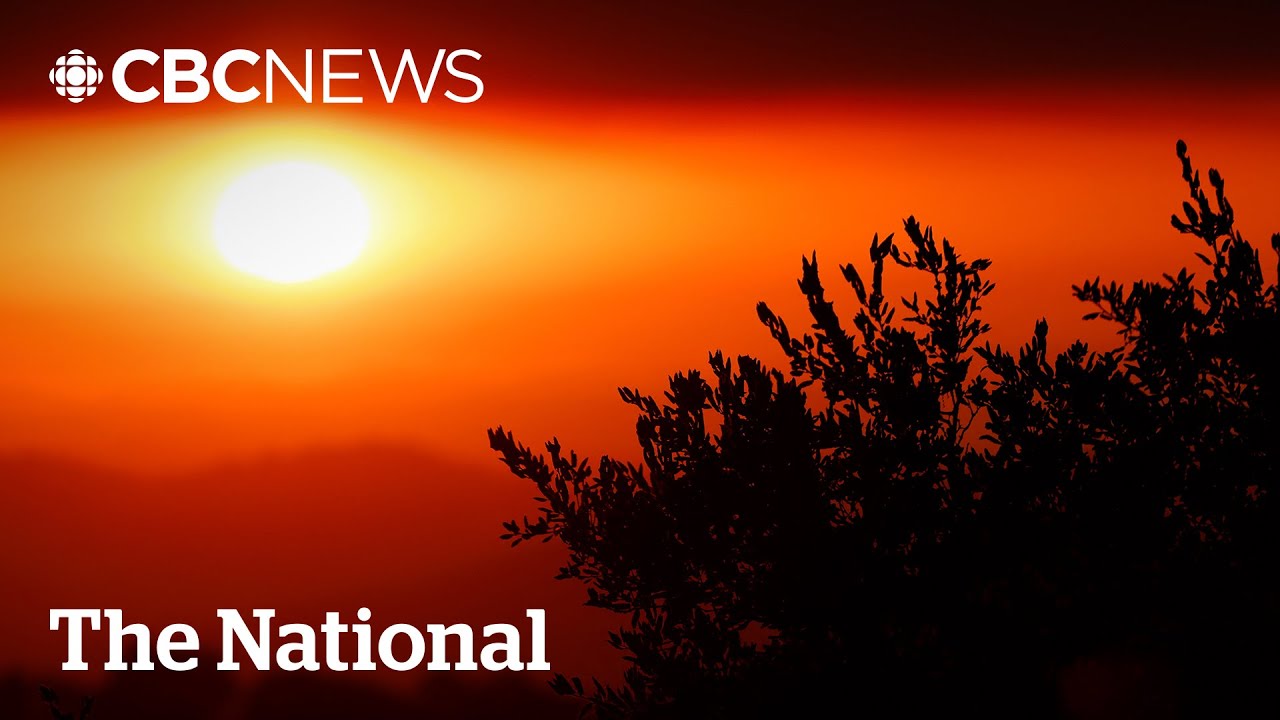 2025 was 3rd hottest year ever recorded: climate data