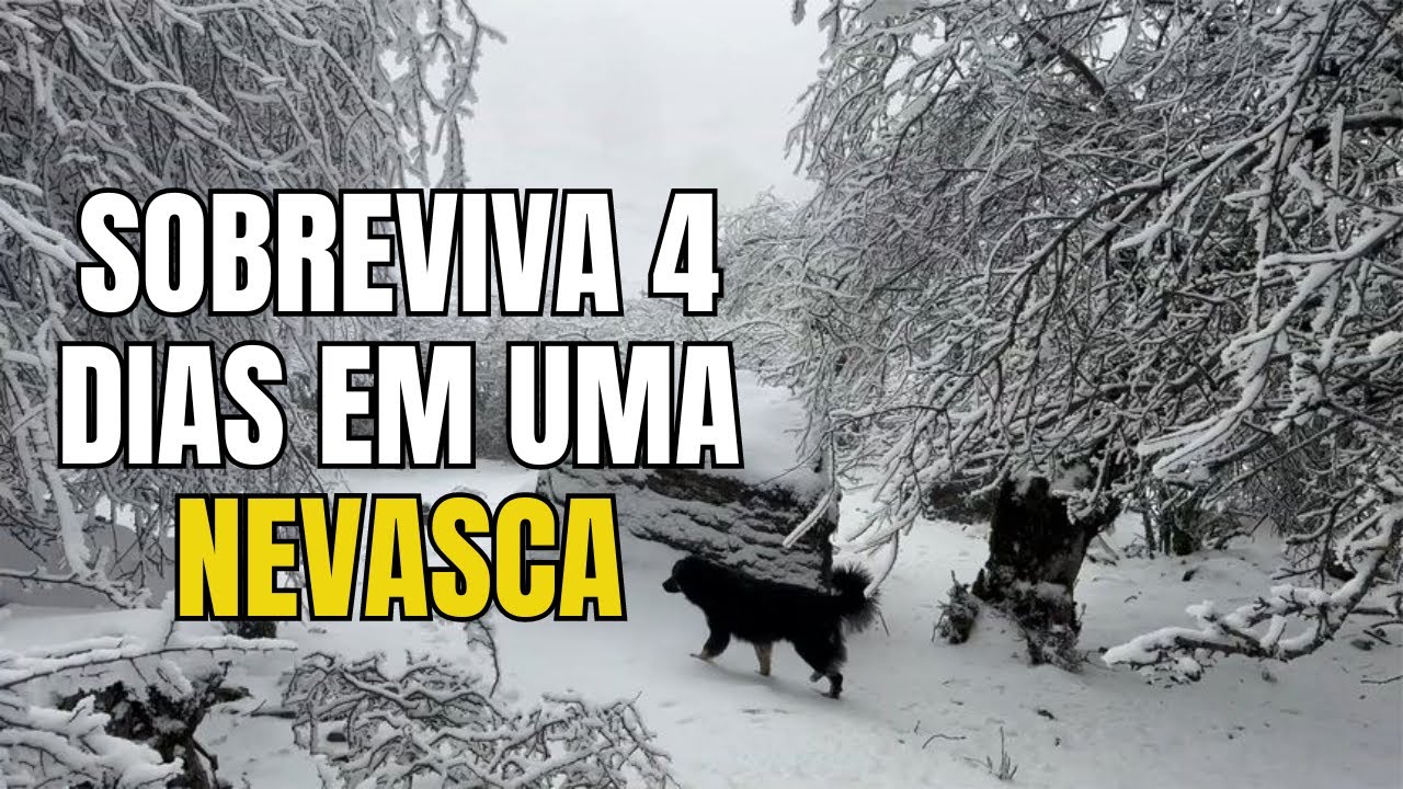 Como Sobreviver 4 Dias em Uma Nevasca T&eacute;cnicas de Sobreviv&ecirc;ncia na Selva de Inverno