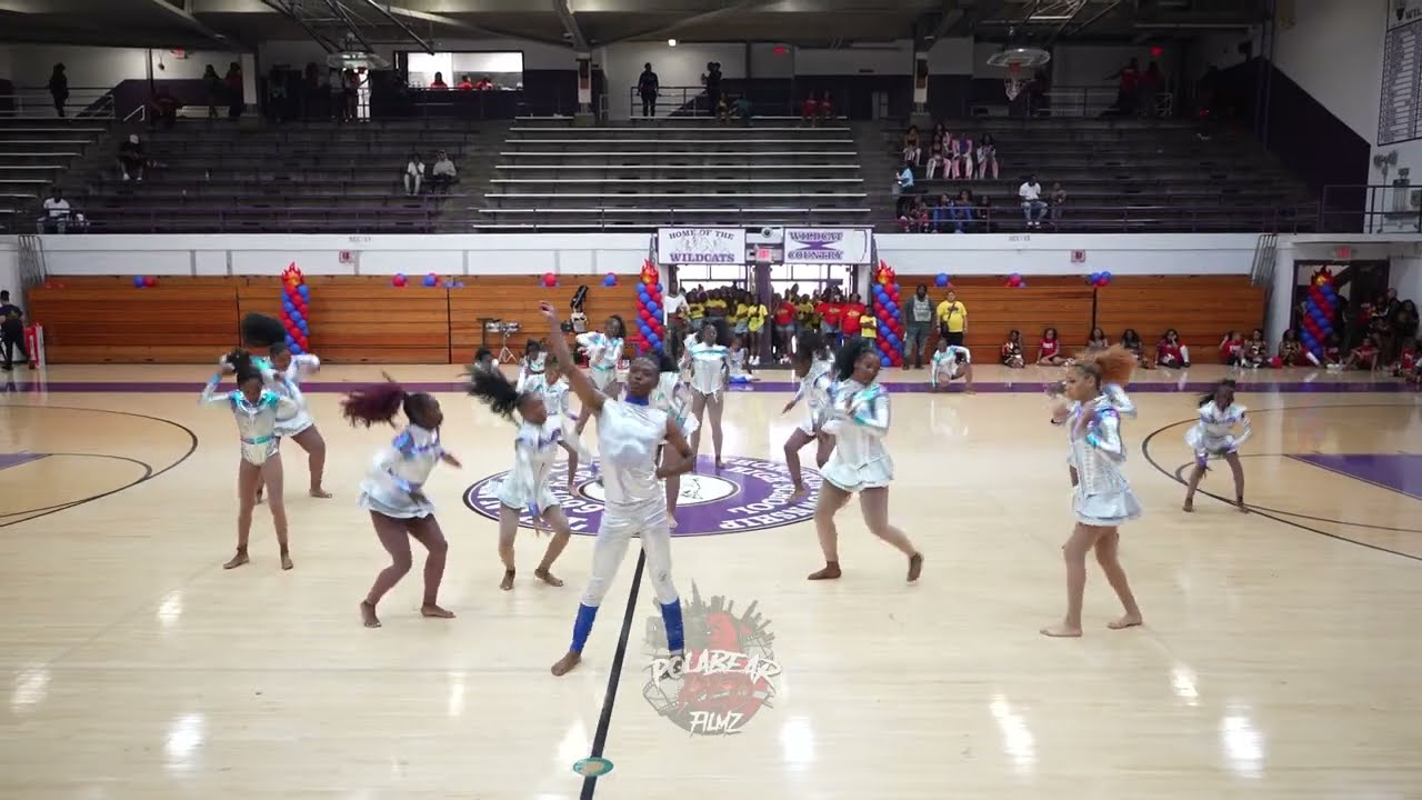 Astronaut Flee | Creative Field show | Dance Force Elite | The MeltDown | 2025