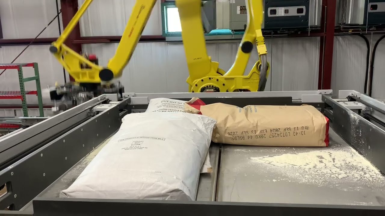 Fanuc custom bag palletizer with tamping