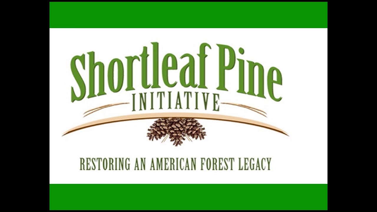 What is your Shortleaf Pine Story?