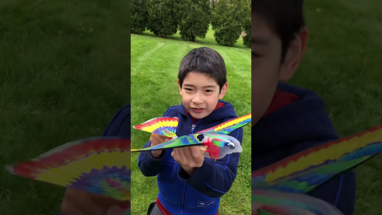 The amazing rubber band powered mechanical Tim Bird