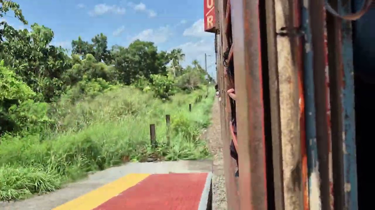 Kerala Nature Train view *railway routes india*