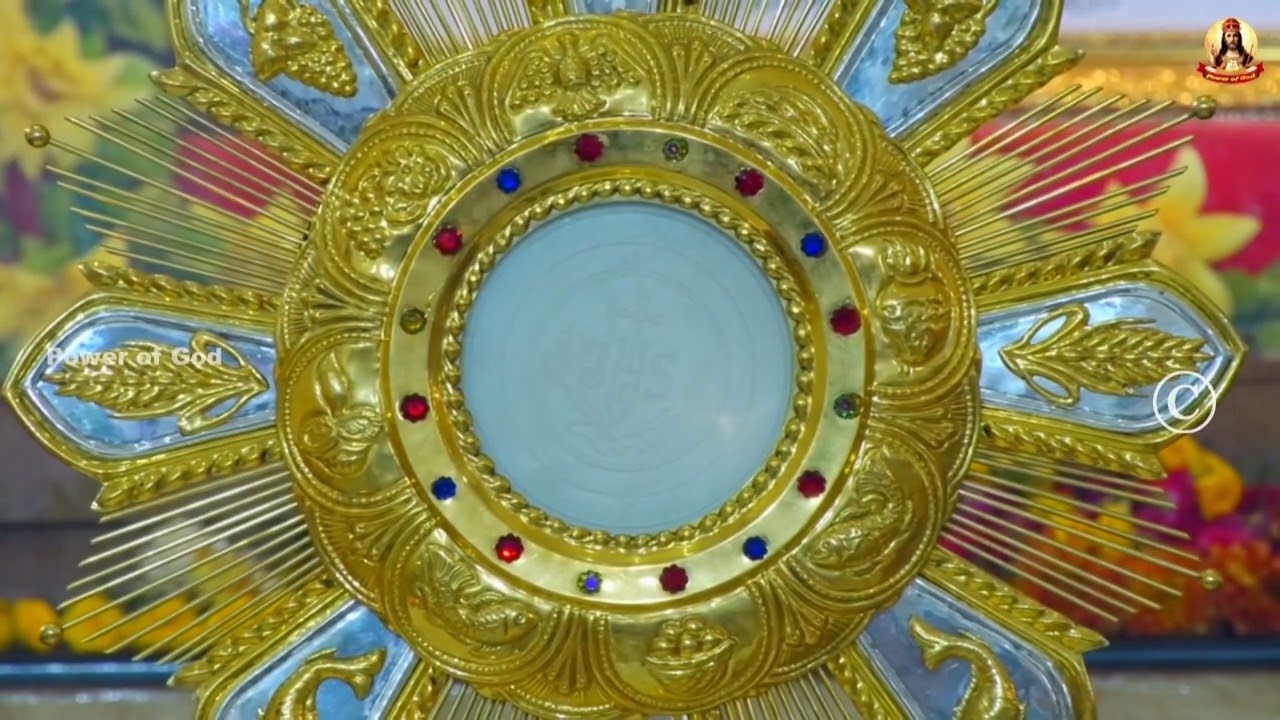 🟢✠ வாருங்கள் ஆண்டவரையே தொழுவோம்  16 February 2026    #Adoration #nightprayer