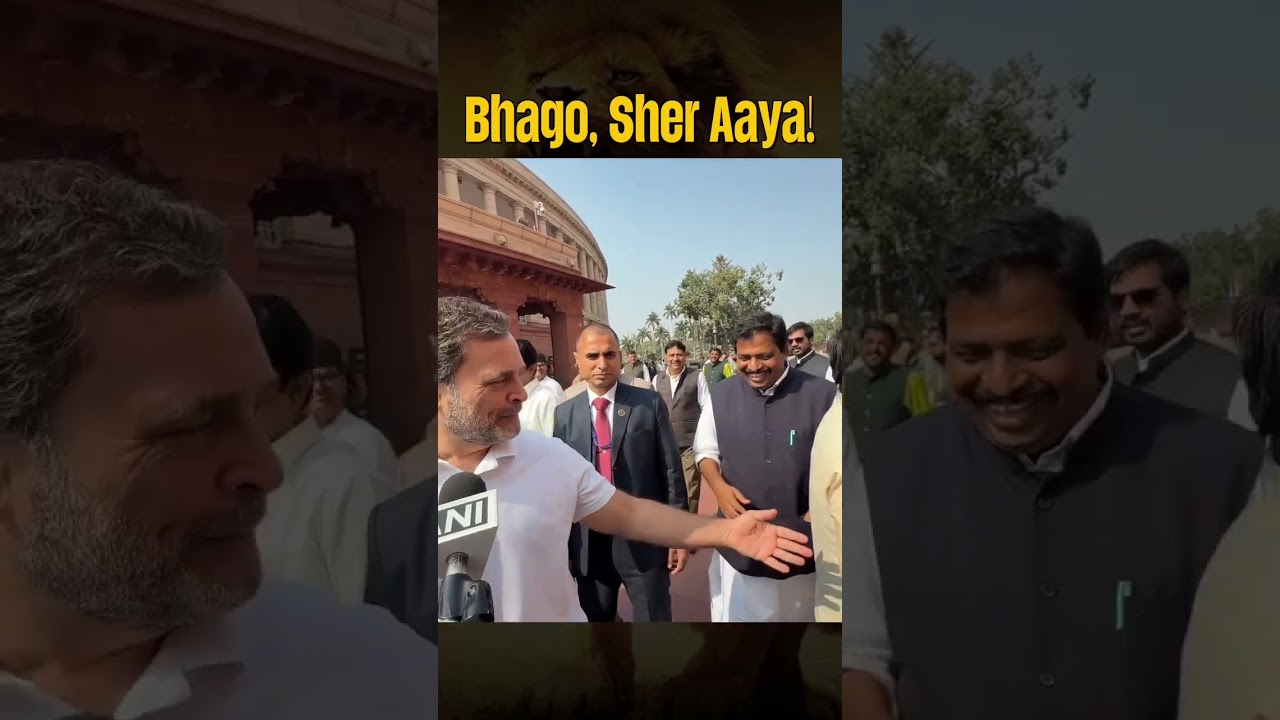 Bhag Bhag Bhag, Aya Sher Aya Sher! 🔥🔥| Rahul Gandhi