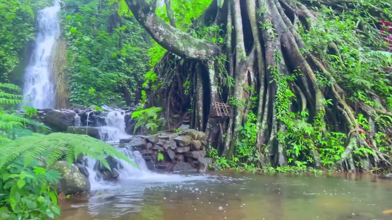 Air Terjun Merambat Roro Kuning