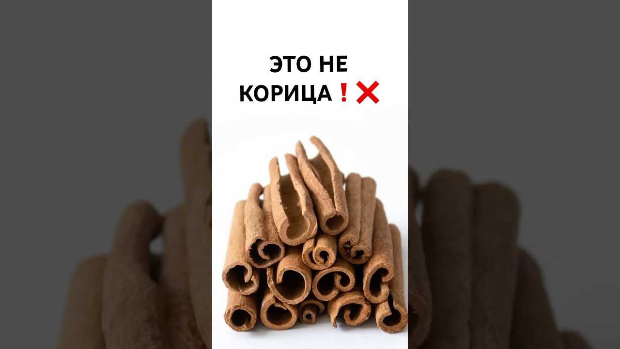 ЭТО НЕ КОРИЦА❗️❌ #корицапольза #корицавред #кассия
