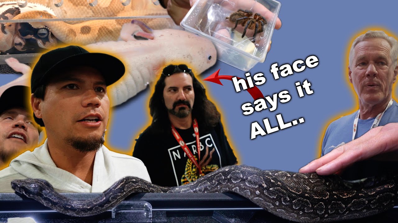 What REALLY happened at the Dallas Reptile Show with 