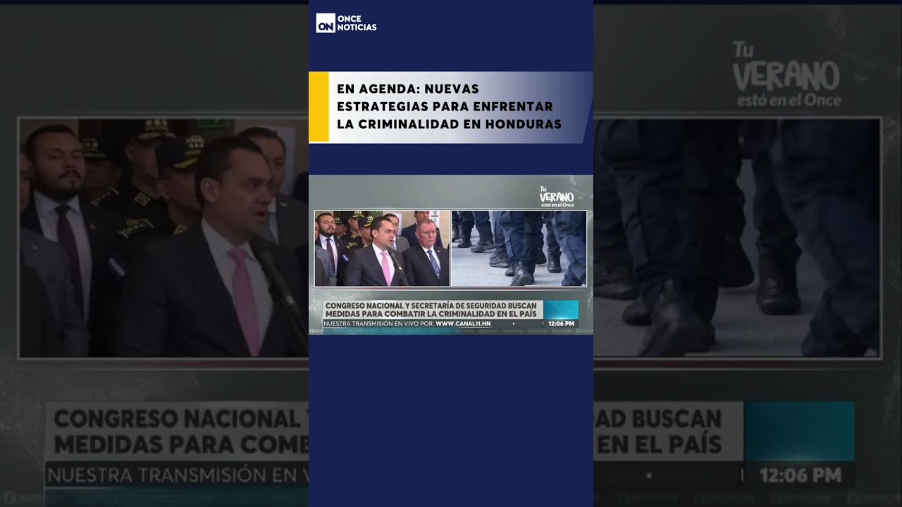 Congreso Nacional y Secretaría de Seguridad buscan acciones para combatir la criminalidad en el país