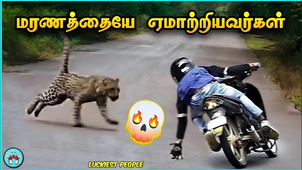 நொடியில் தப்பித்த அதிர்ஷ்டசாலிகள் | Lucky People Tamil | The Magnet Facts