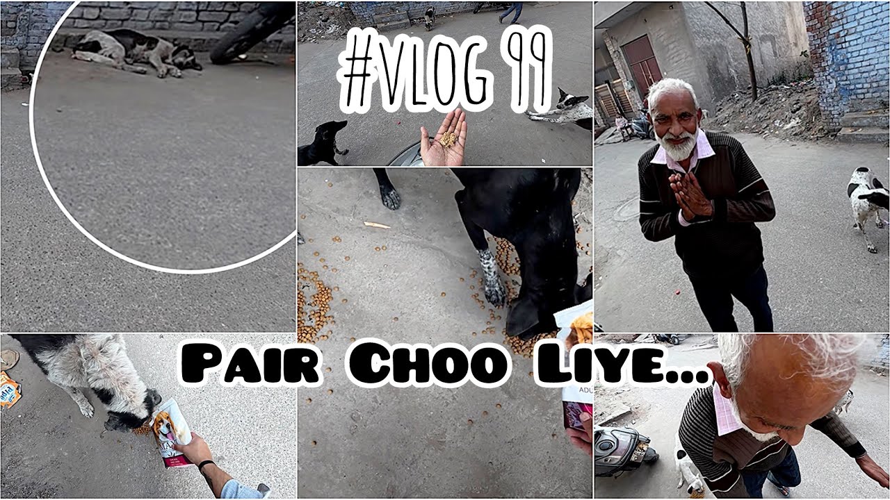 Stray Dogs Ki Seva Dekh Kar… Uncle Ne Mere Pair Choo Liye 🙏