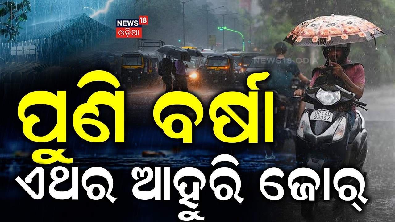 ପୁଣି ପ୍ରବଳ ବର୍ଷା ! Odisha Weather Update |Low Pressure Forming Around July 12 |Heavy Rain Alert