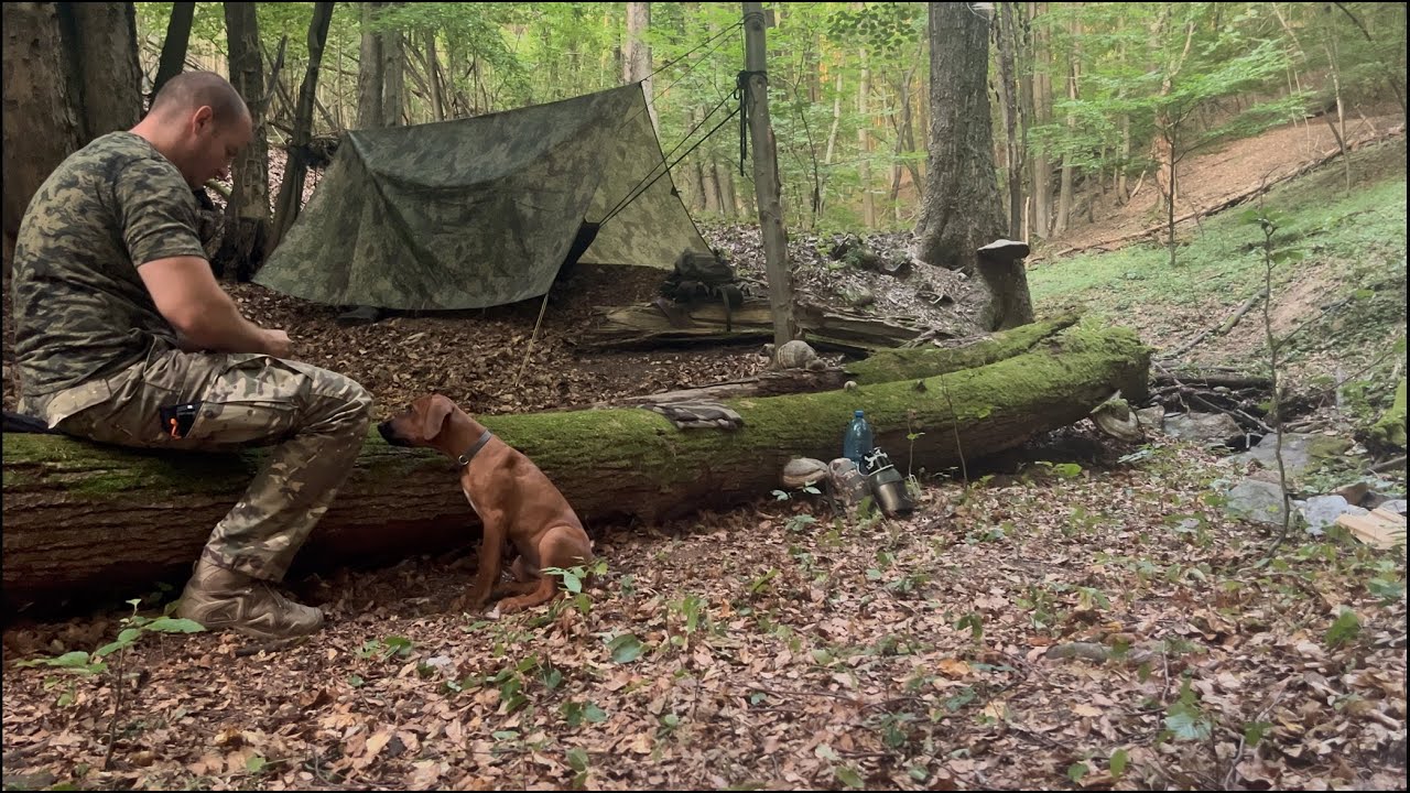 BUSHCRAFT | Prvá noc so psom v lese