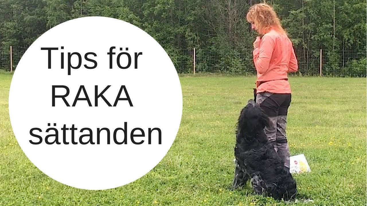 Förbered så får du bättre sättanden