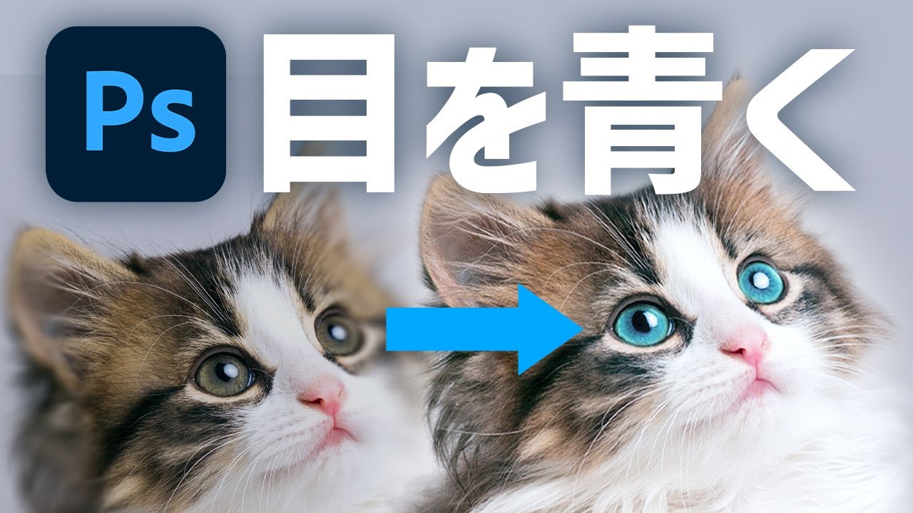 Photoshopで猫の目を青くする方法！（CC2022）