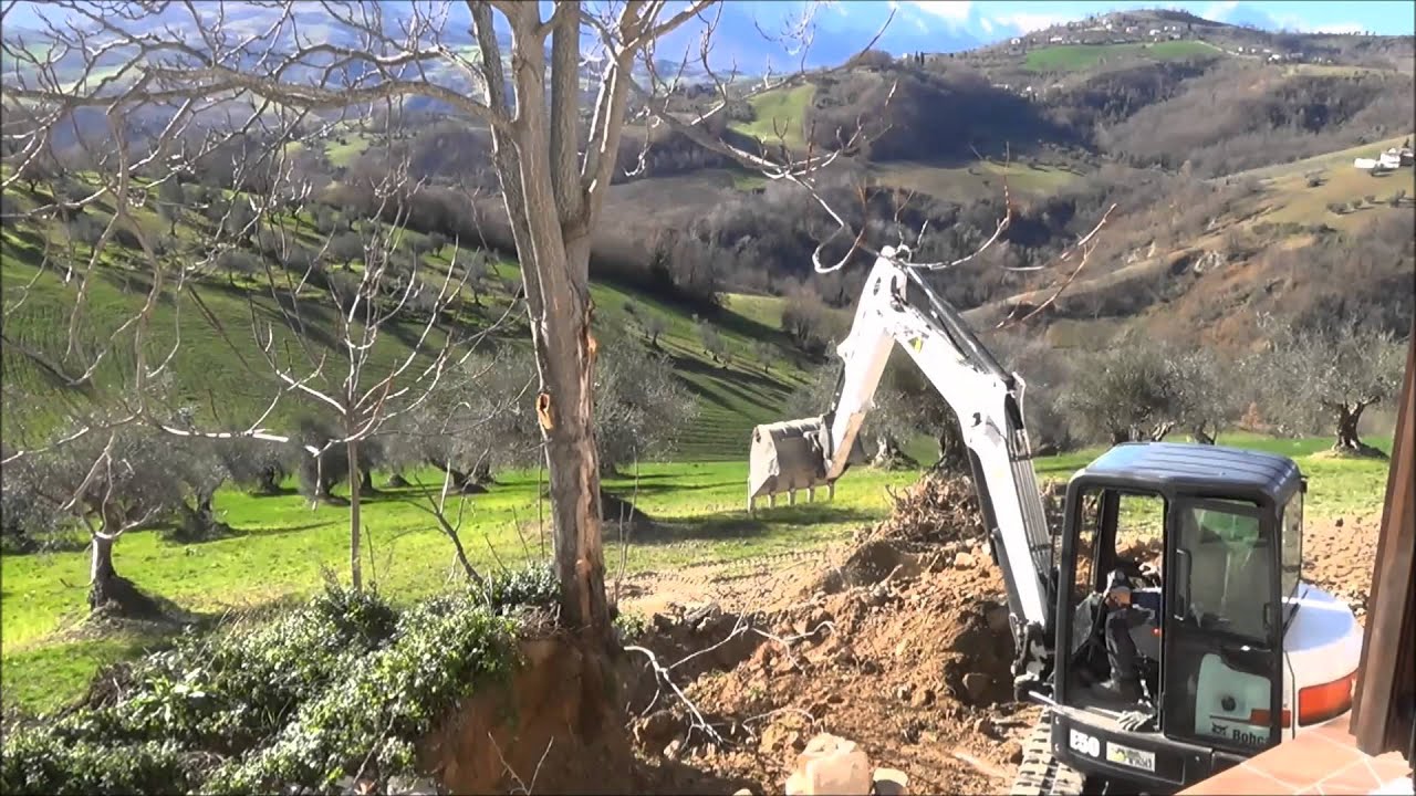 bobcat E50 excavator taking out large trees