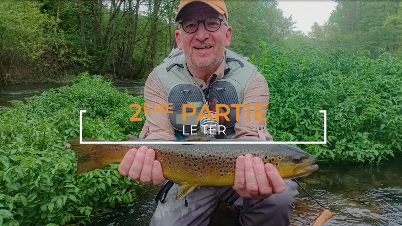 Le Ter à Anglès