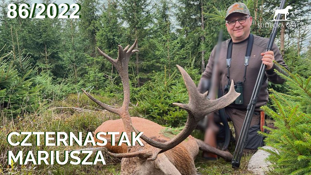 SUDECKA OSTOJA 86/2022 Czternastak Mariusza. Jagd Deer deerhunting hunt