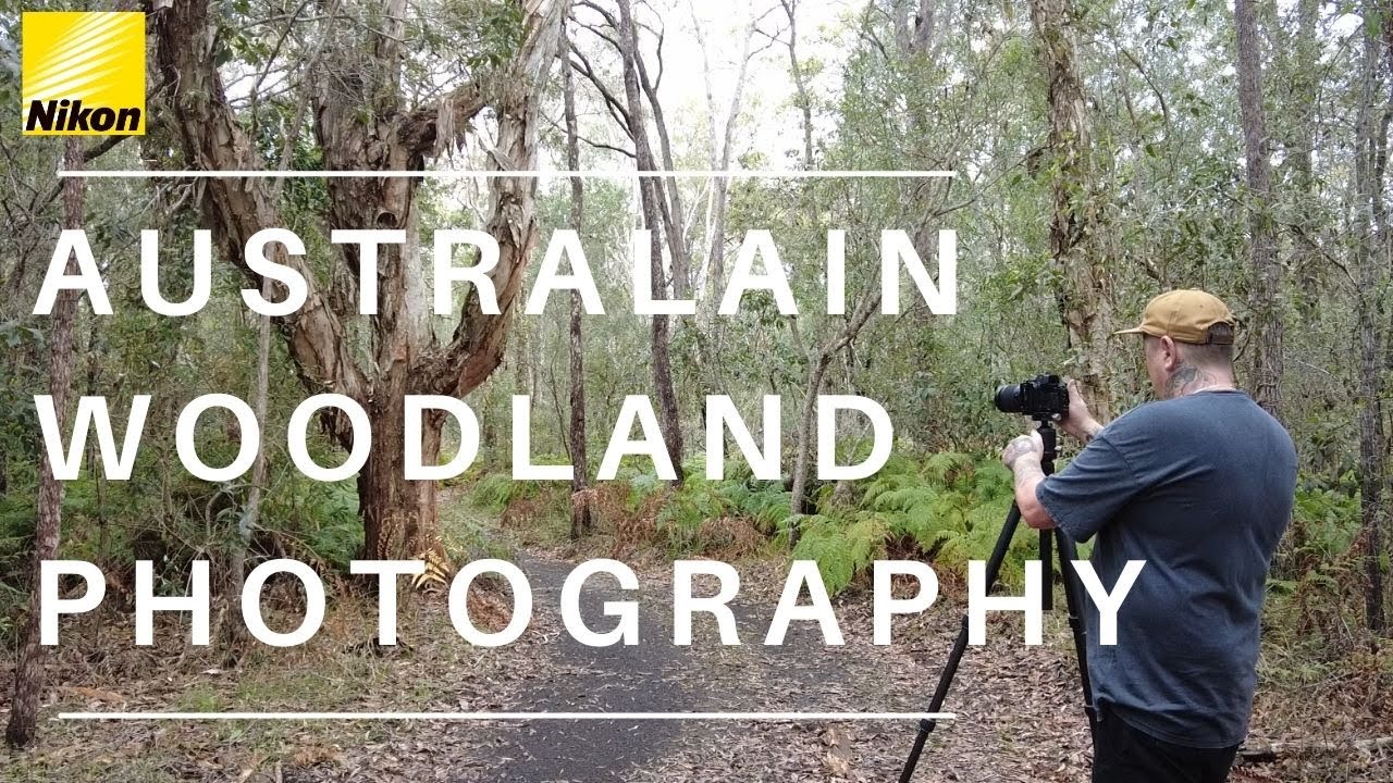 Landscape Photography | Australian woodland.