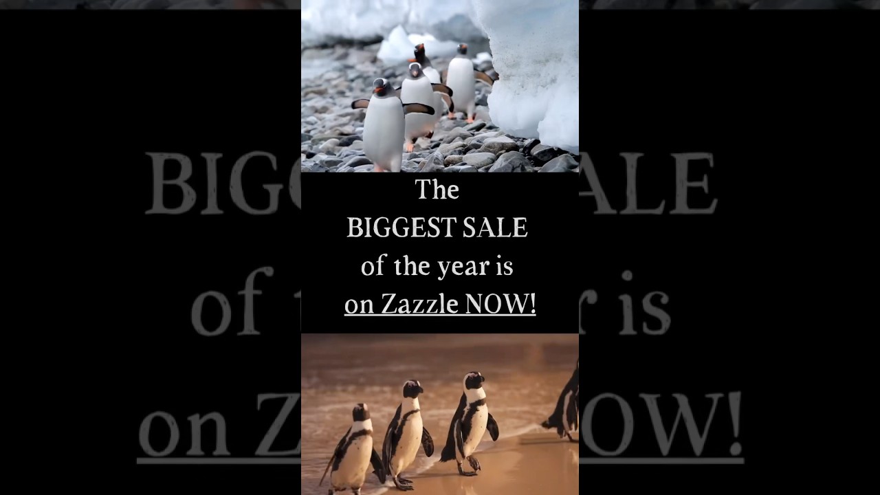 ZAZZLE CYBER MONDAY: COOL DEALS are happening NOW! #zazzle, #zazzlemade, #cybermonday