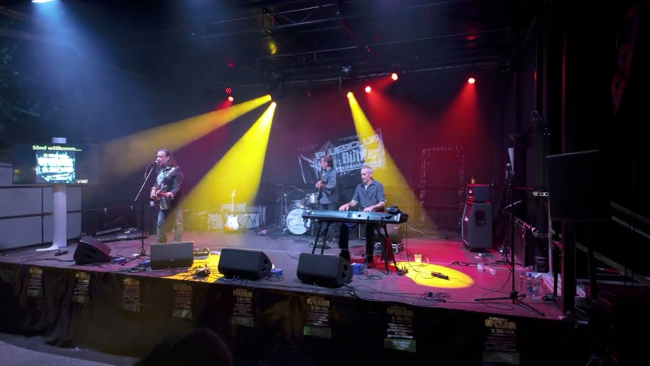 Neal Black + The Healers (02)