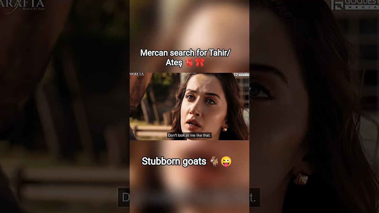 what happened when mercan find ates is Tahir 😔😌#newepisode #viral#shorts#dramascene #arafta #edits