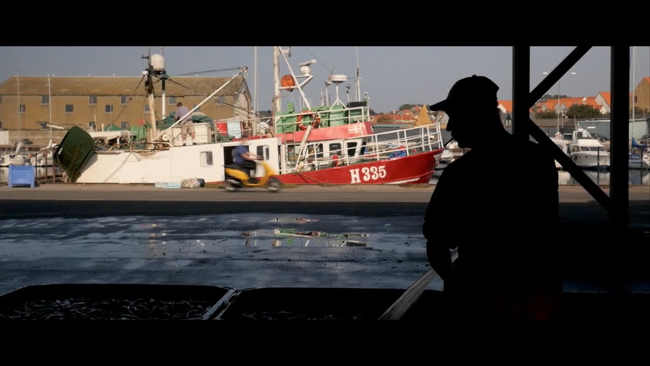 A/S O.V. Jørgensen Hundested Fiskeeksport v.2