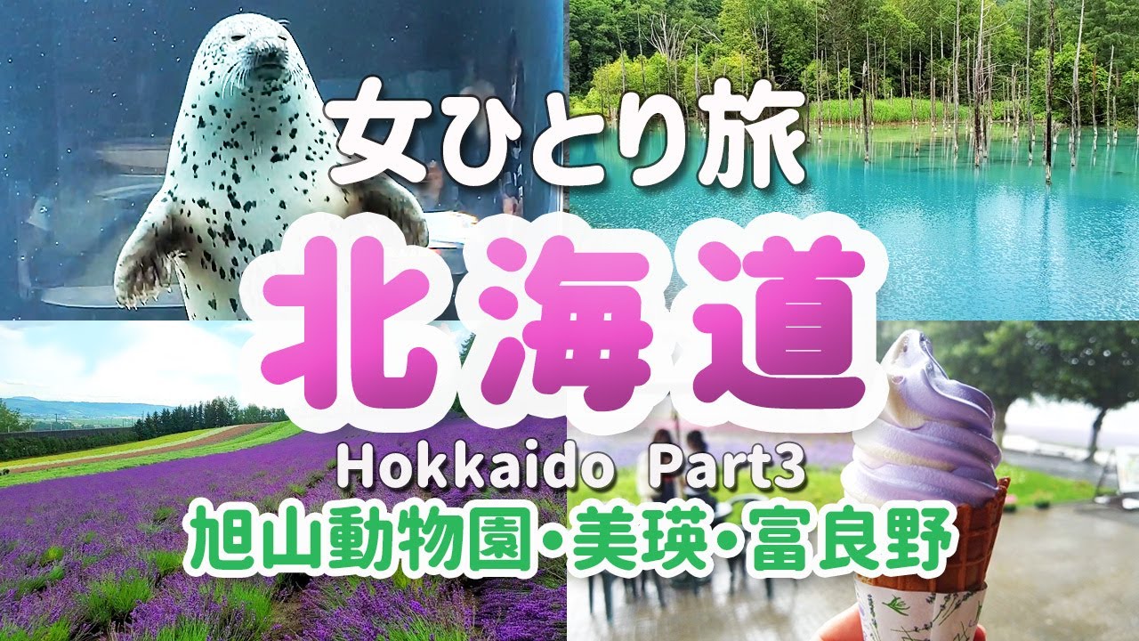 【女ひとり旅/北海道③】旭山動物園＆美瑛・富良野の絶景大満喫！満開ラベンダー畑ファーム富田/青い池/北海道旅行 Hokkaido Japan