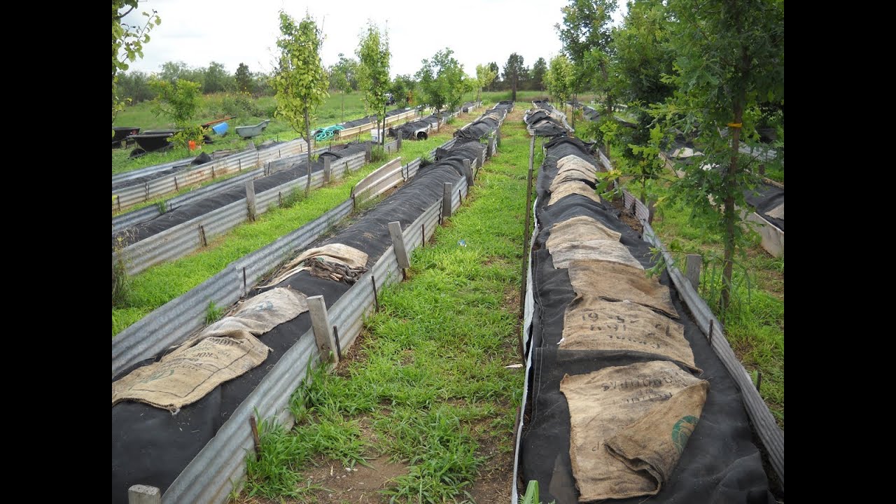 Be a Worm Farmer