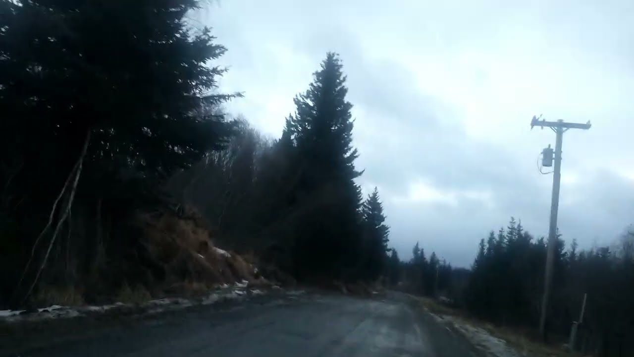 Just A Walk And Talk 