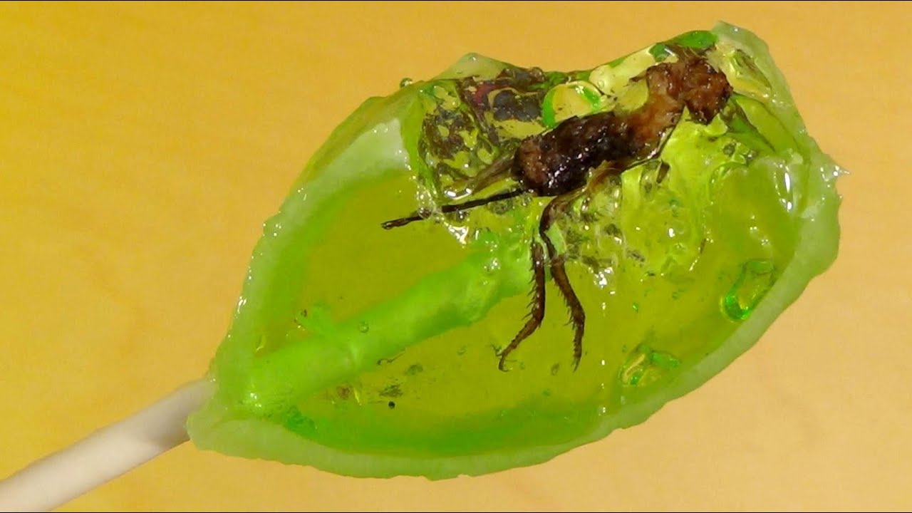 Insect Lollipop - nasty & disgusting