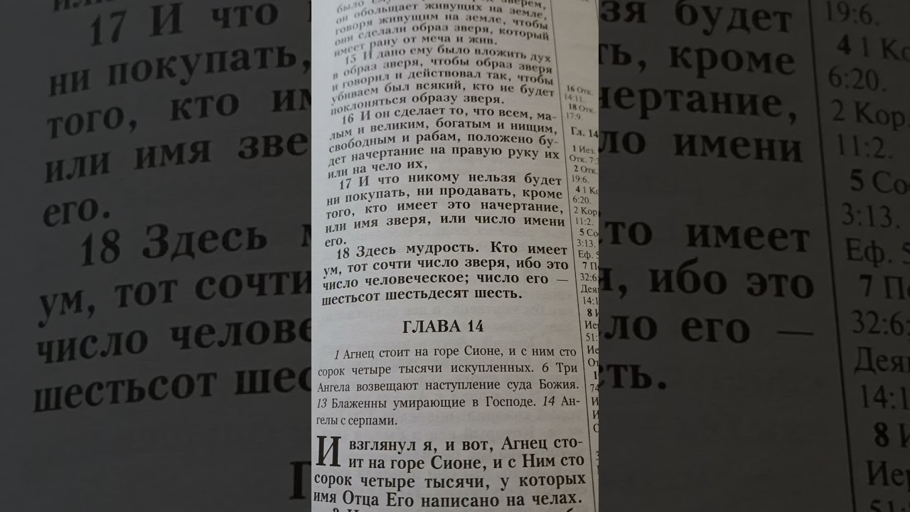 ЭТО МЕТКА ЗВЕРЯ .....СОН.