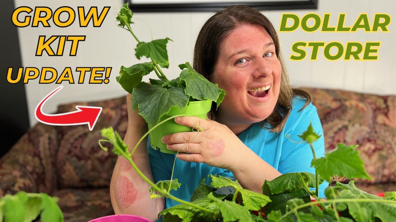 Dollar Store Grow Kits  |  2 Month Update