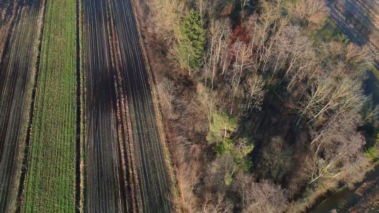 Scenic footage of Ljubljansko barje.
