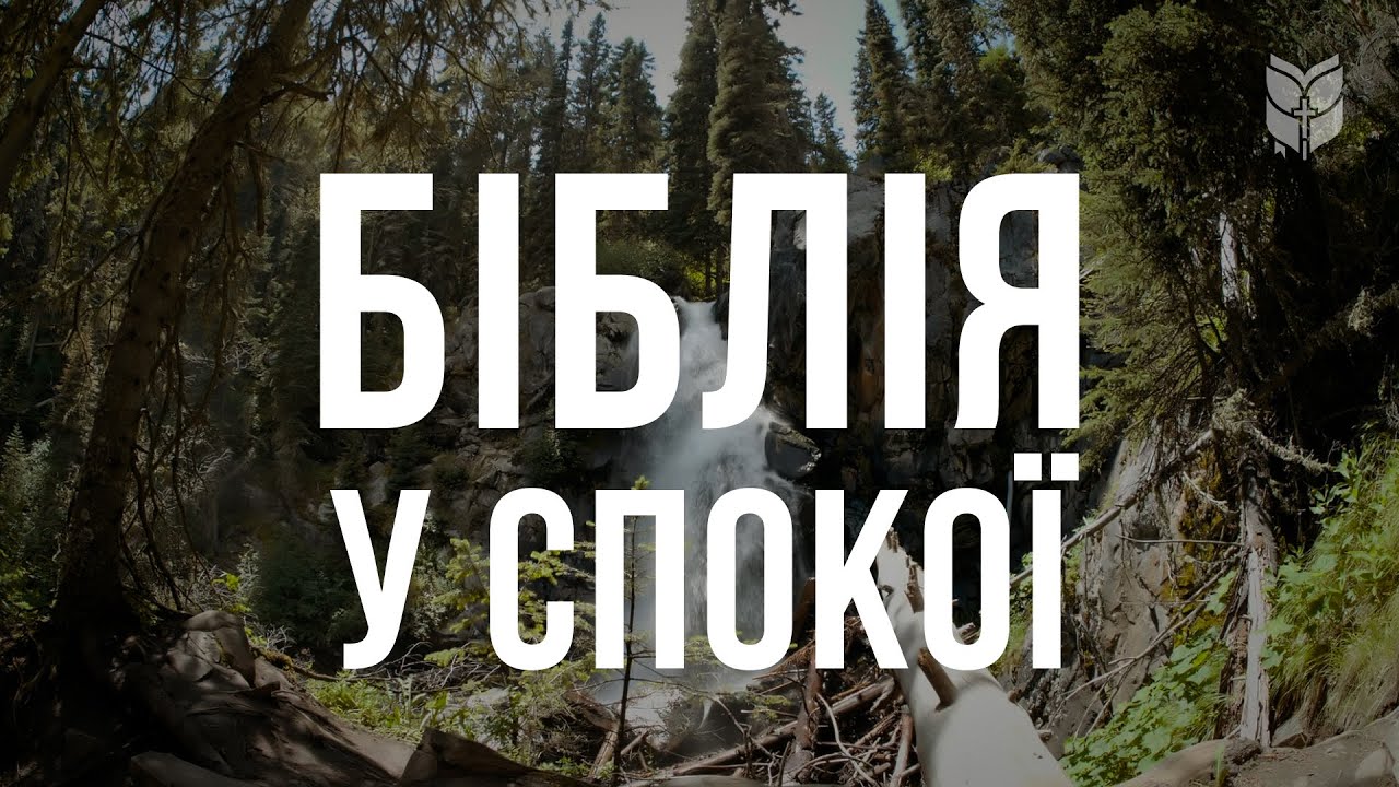 Читання Біблії у спокої та гармонії #biblevision #біблія