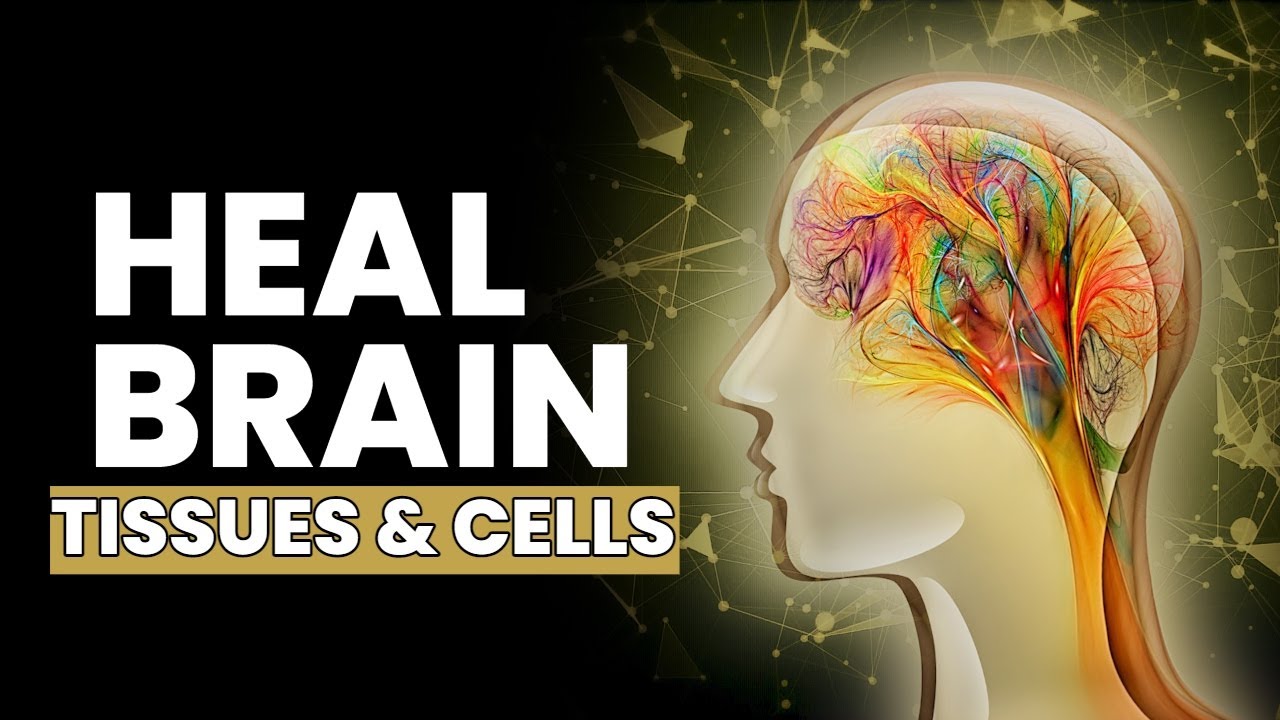 Regulate Your Cerebral Blood Flow | Prevent Brain Damage and Stroke | Heal Brain Tissues and Cells