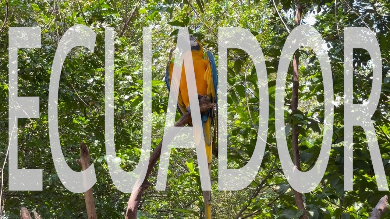 Galápagos, az esőerdők, a legendás városok - ECUADOR titkai - Kiss Róbert Richard műsora