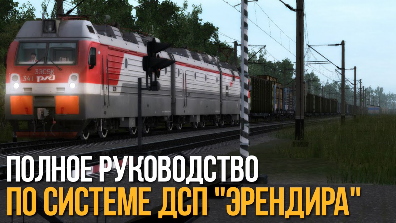 Полное руководство по системе ДСП 