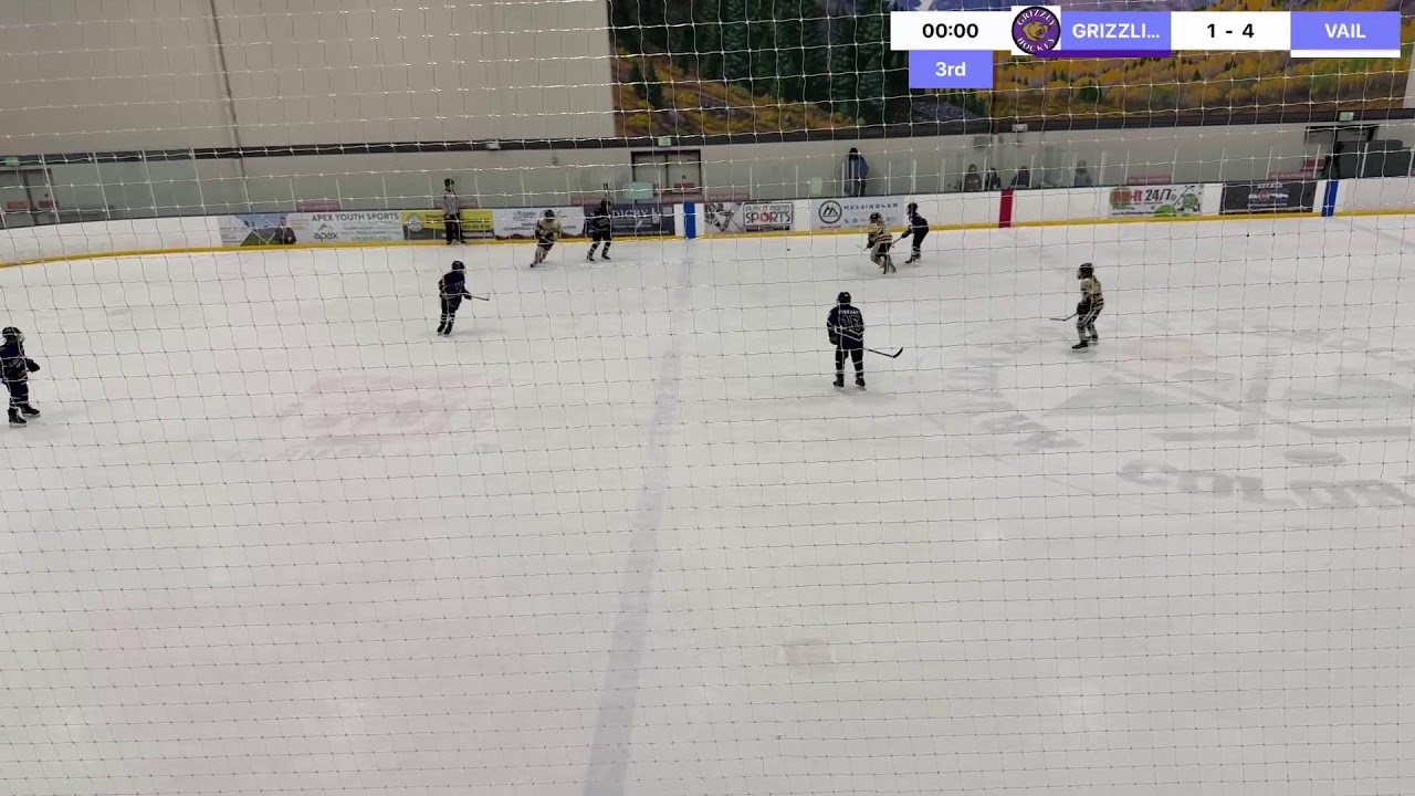 State Tournament Game 4: Grizzlies vs Vail
GRIZZLIES VS VAIL