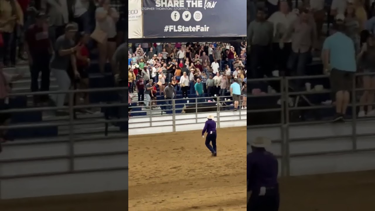 Crowd panics as bull escapes pen during rodeo at Florida state fair